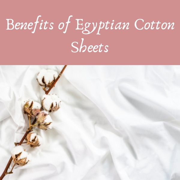 Benefits of Egyptian Cotton Sheets