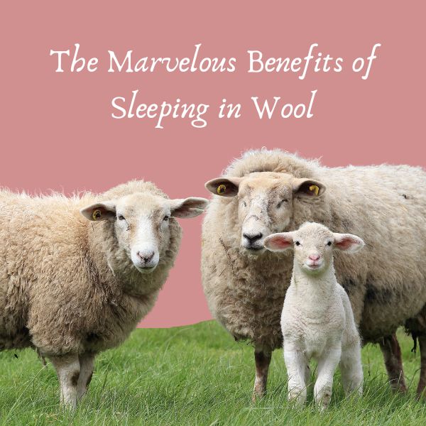 The Marvelous Benefits of Sleeping in Wool