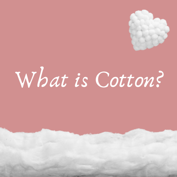 What is Cotton?