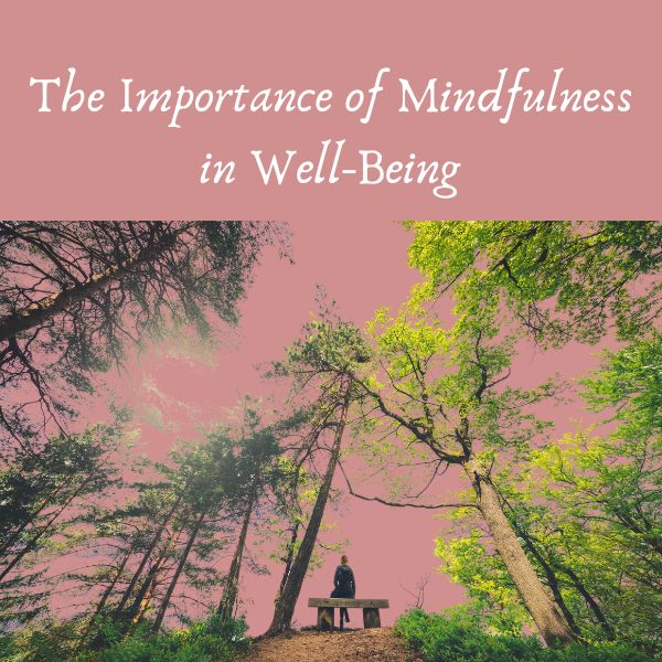 The Importance of Mindfulness in Well-Being
